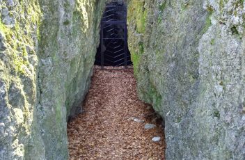 Coroczne Liczenie Nietoperzy w Ojcowskim Parku Narodowym 2026