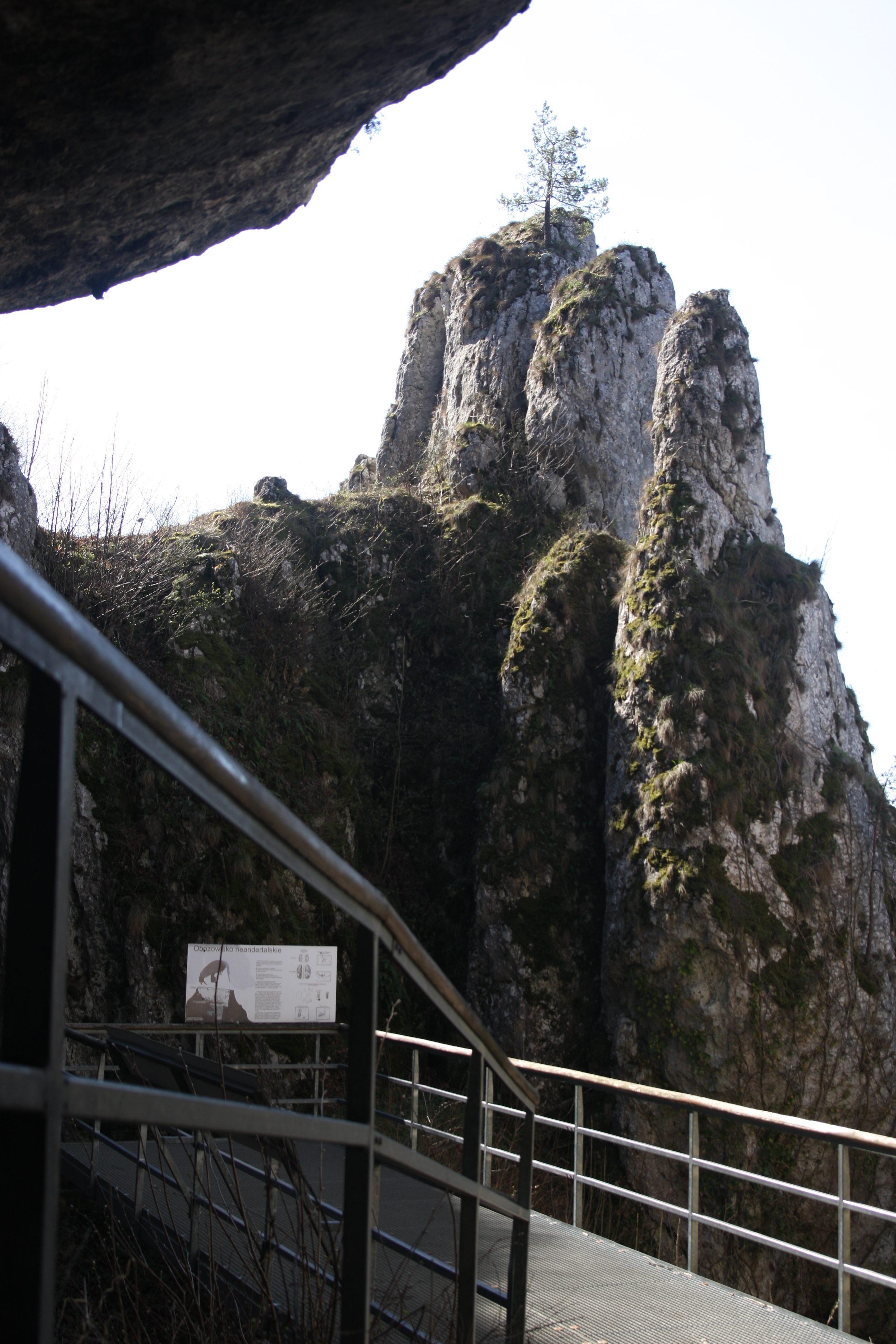Widok na skały Koronne koło Jaskini Ciemnej