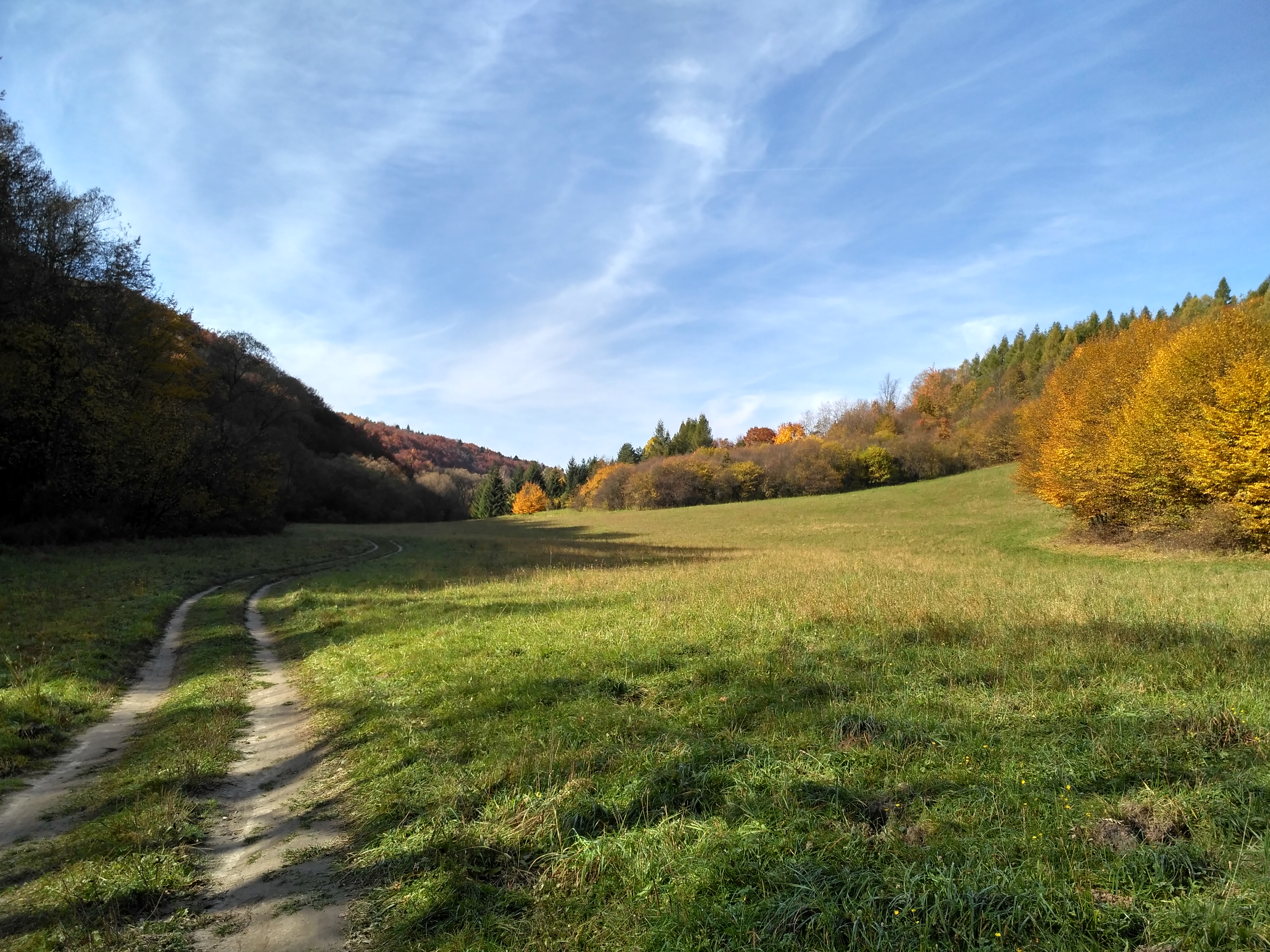 Dolina Sąspowska Jesień