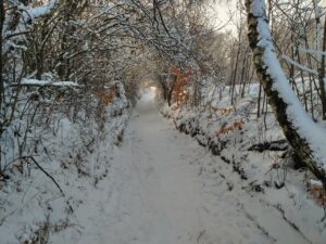 Ścieżka do Ojcowa Zimą