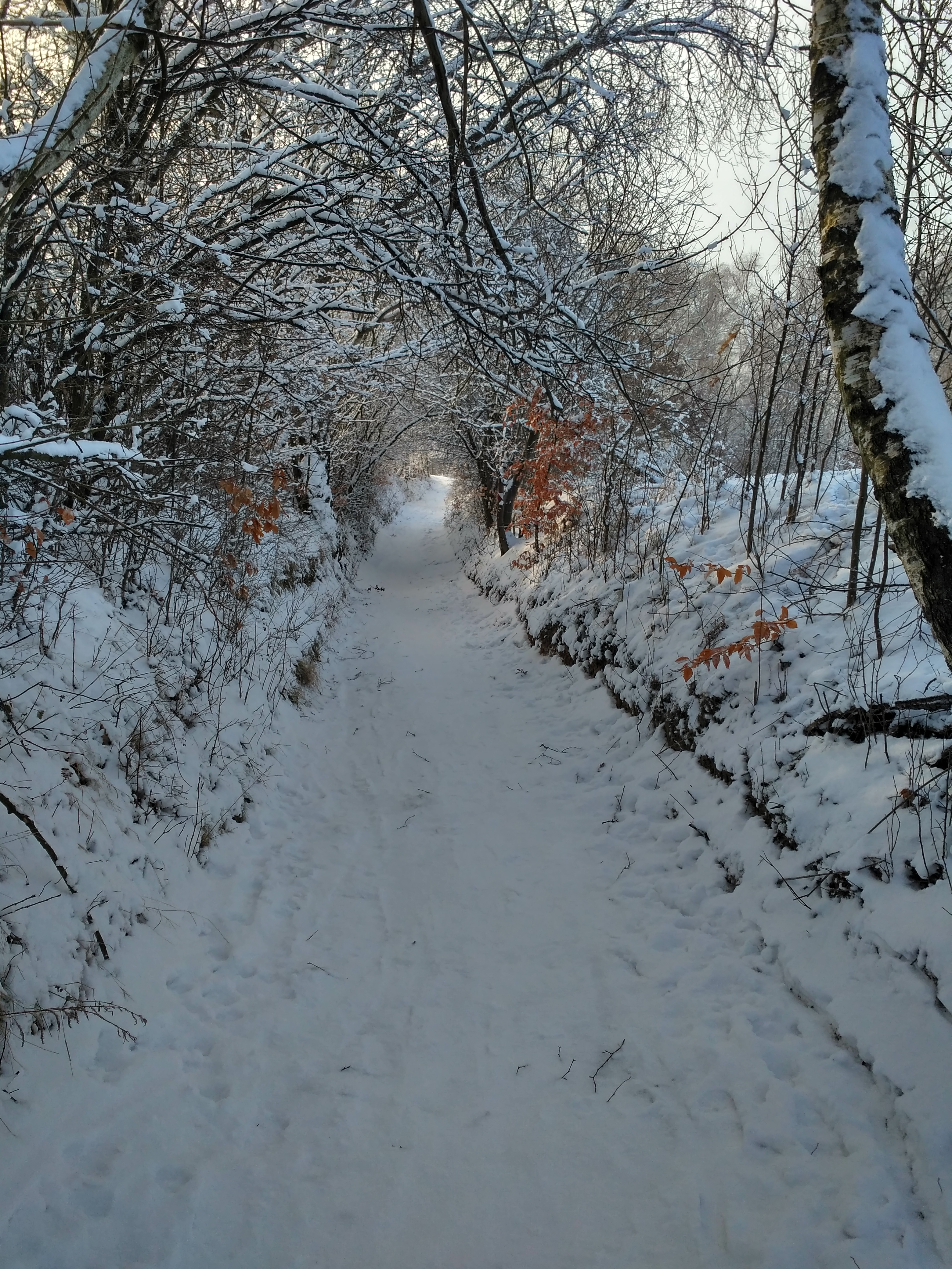 Droga do Ojcowskiego Parku - zimą