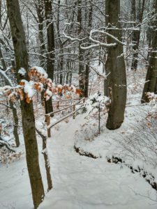 Schody do Jaskini Ciemnej - Ojców zimą